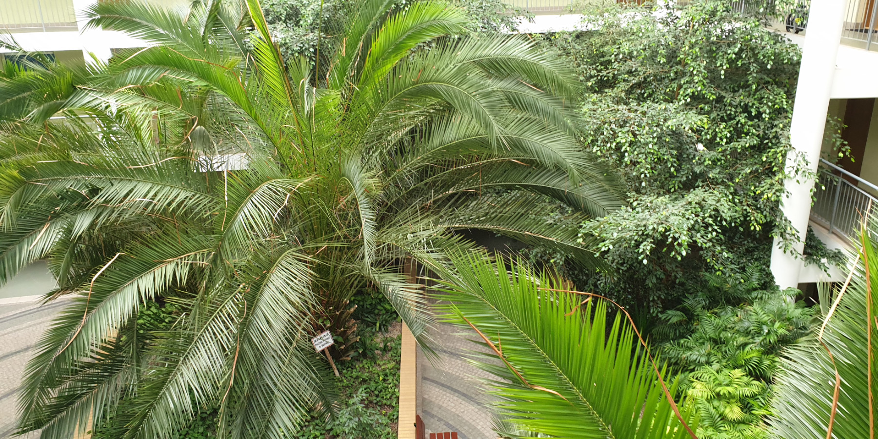 Ogrody 604 - Pielęgnacja zieleni - Zdjęcie 01