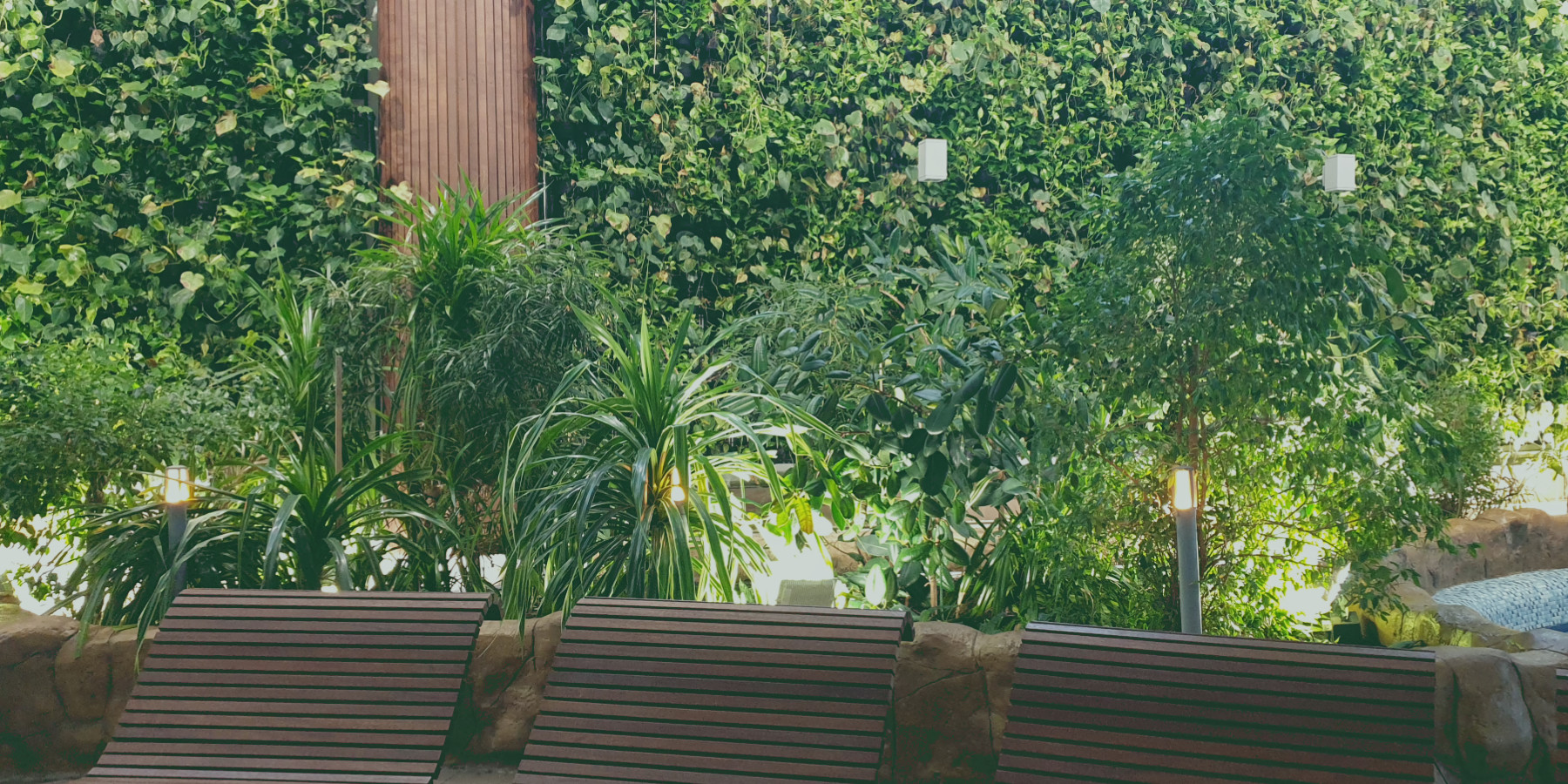 Ogrody 604 - Pielęgnacja