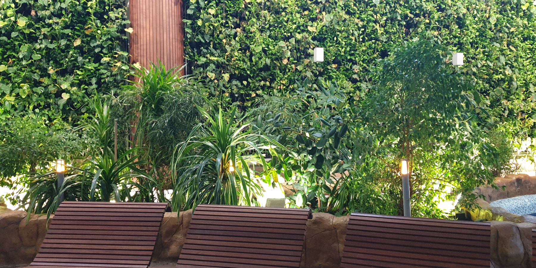 Ogrody 604 - Pielęgnacja zieleni - Zdjęcie 02