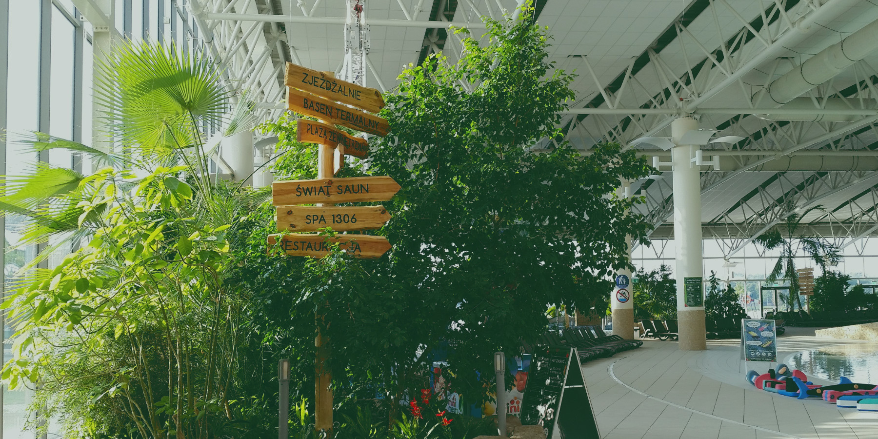 Ogrody 604 - Pielęgnacja zieleni - Aranżacje wnętrz roślinami żywymi