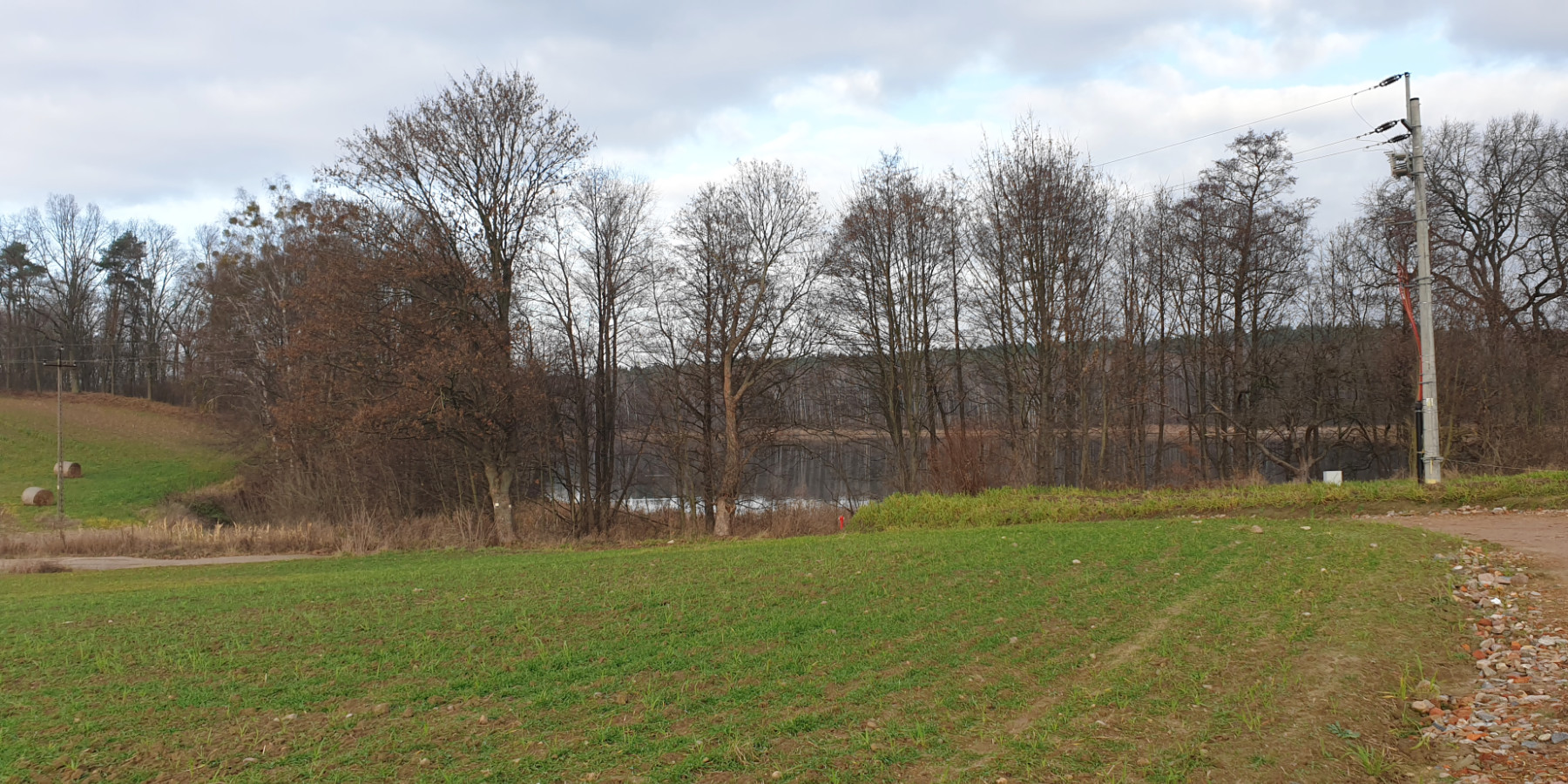 Ogrody 604 - Prusim - Zdjęcie 02