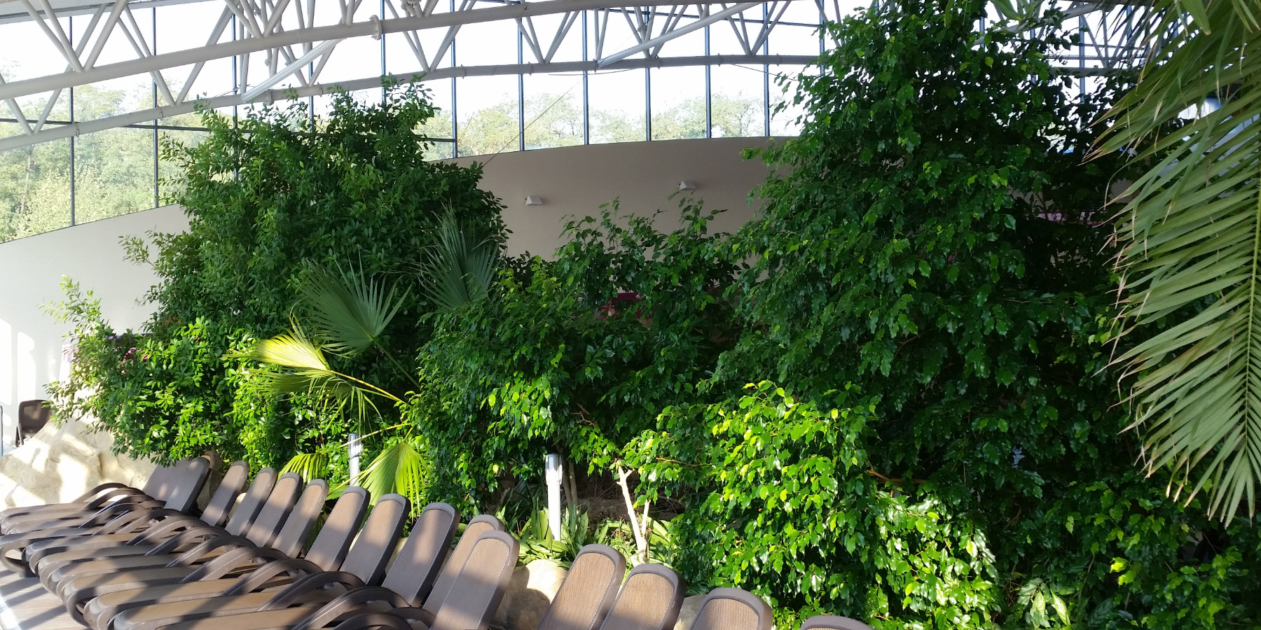 Ogrody 604 - Pielęgnacja zieleni - Zdjęcie 04