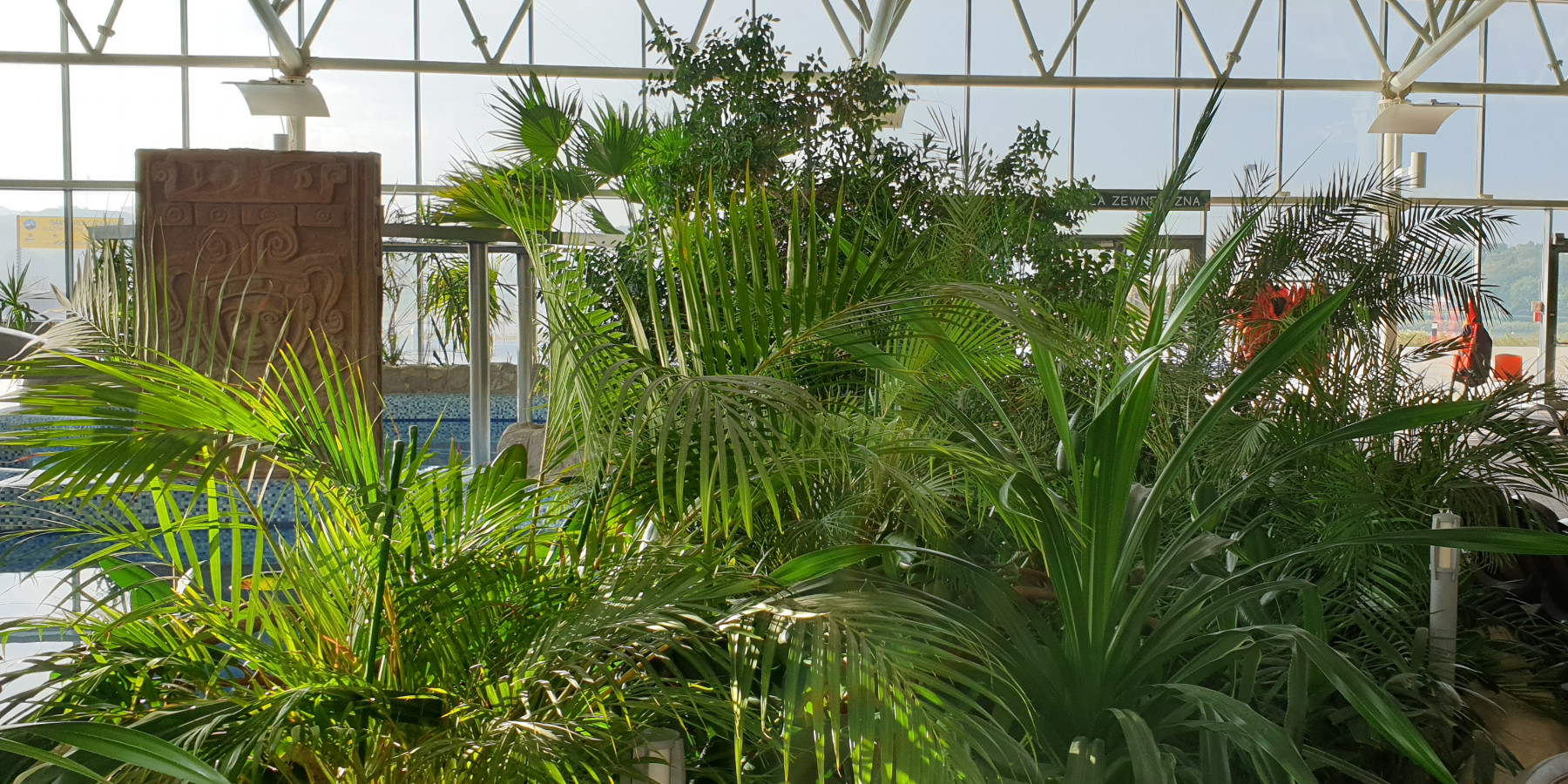 Ogrody 604 - Pielęgnacja zieleni - Zdjęcie 05