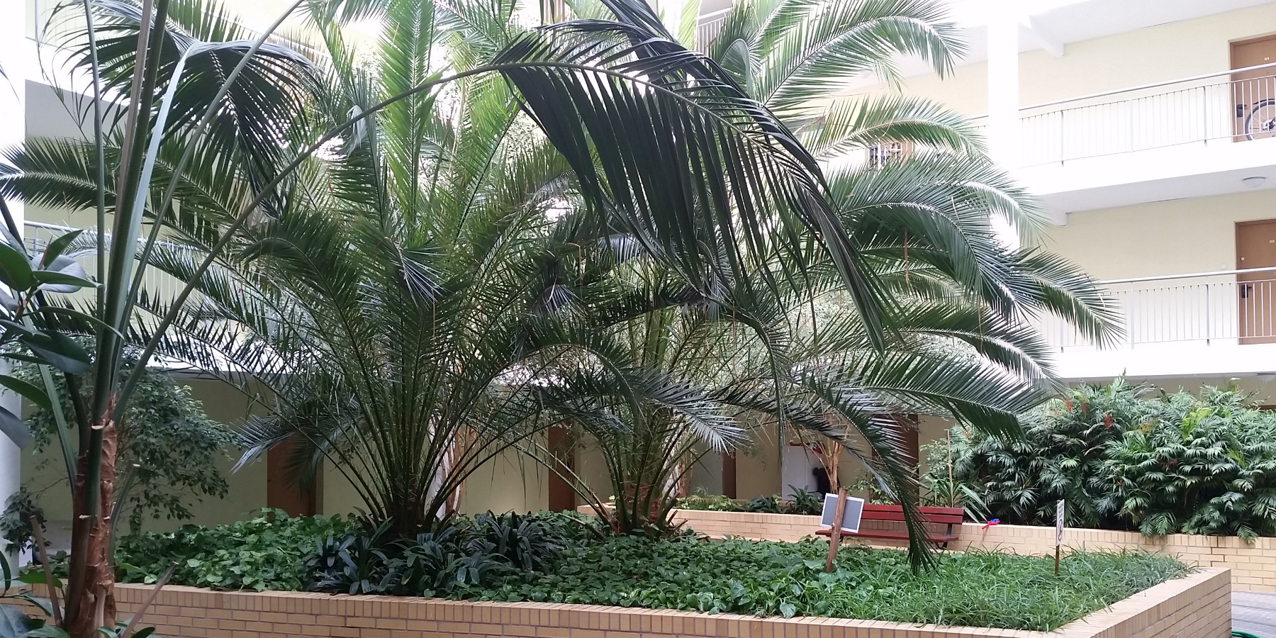 Ogrody 604 - Pielęgnacja zieleni - Zdjęcie 06