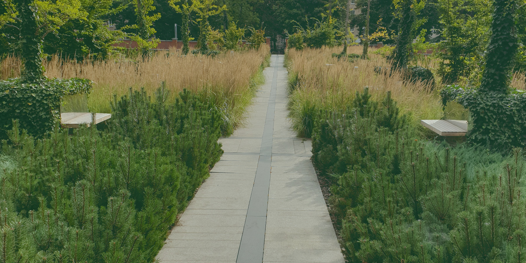 Ogrody 604 - Pielęgnacja zieleni - Kompleksowa usługa pielęgnacyjna dla Twojego ogrodu