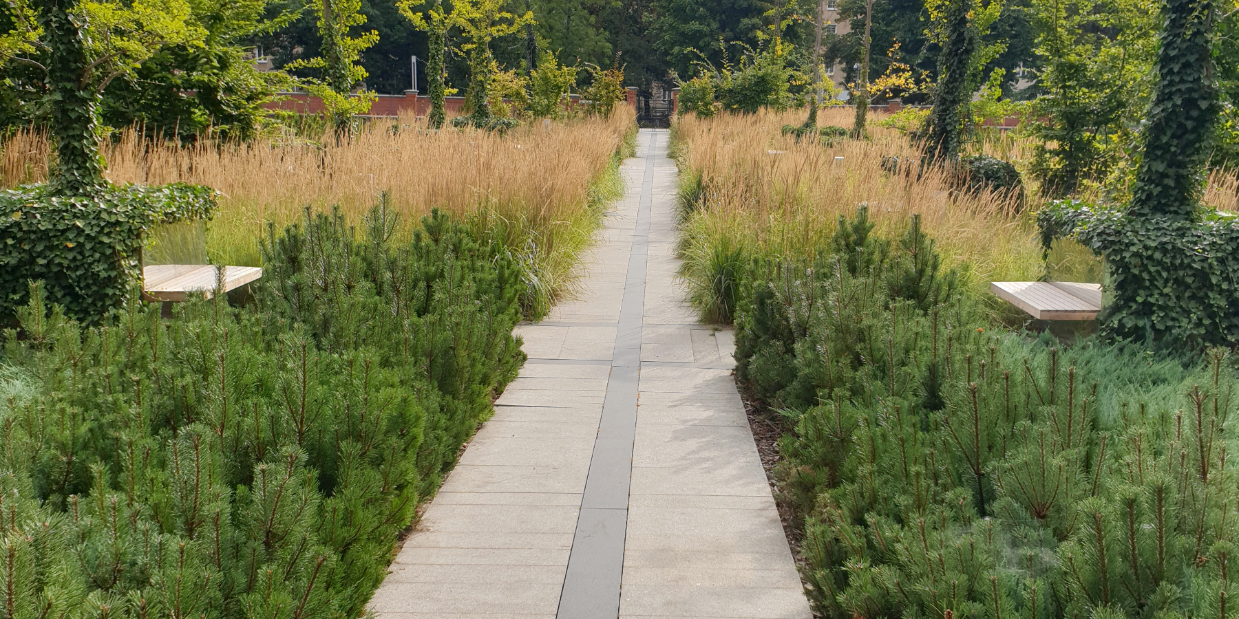 Ogrody 604 - Pielęgnacja zieleni - Zdjęcie 07