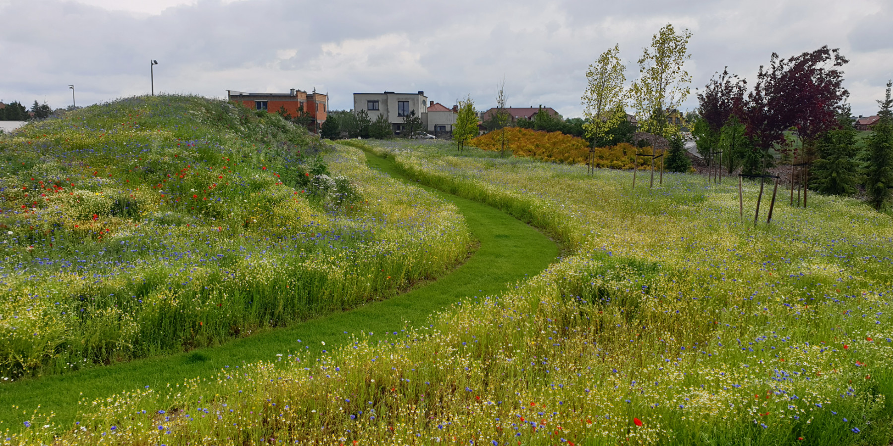 Ogrody 604 - Projektowanie ogrodów - Zdjęcie 08