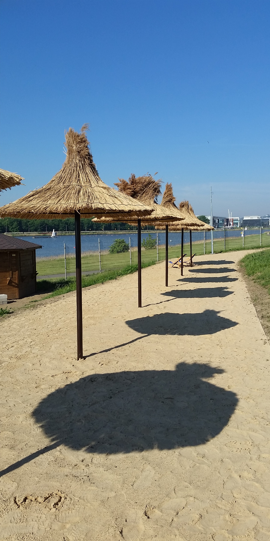 Ogrody 604 - Pielęgnacja zieleni - Zdjęcie 08