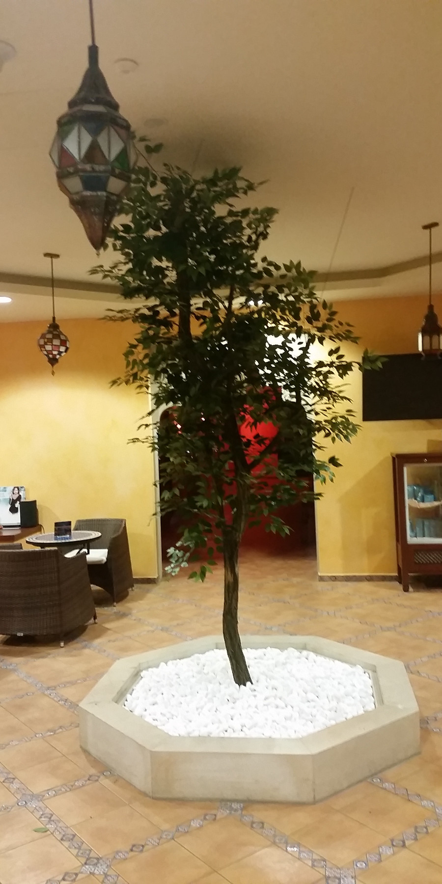 Ogrody 604 - Pielęgnacja zieleni - Zdjęcie 09