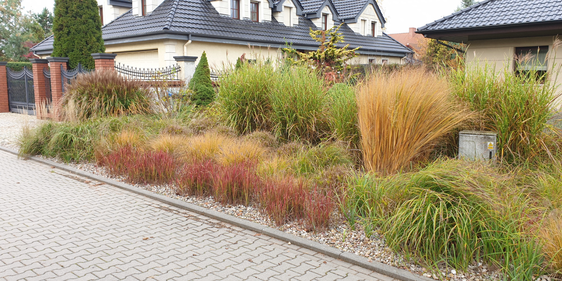 Ogrody 604 - Zakładanie ogrodów - Zdjęcie 9