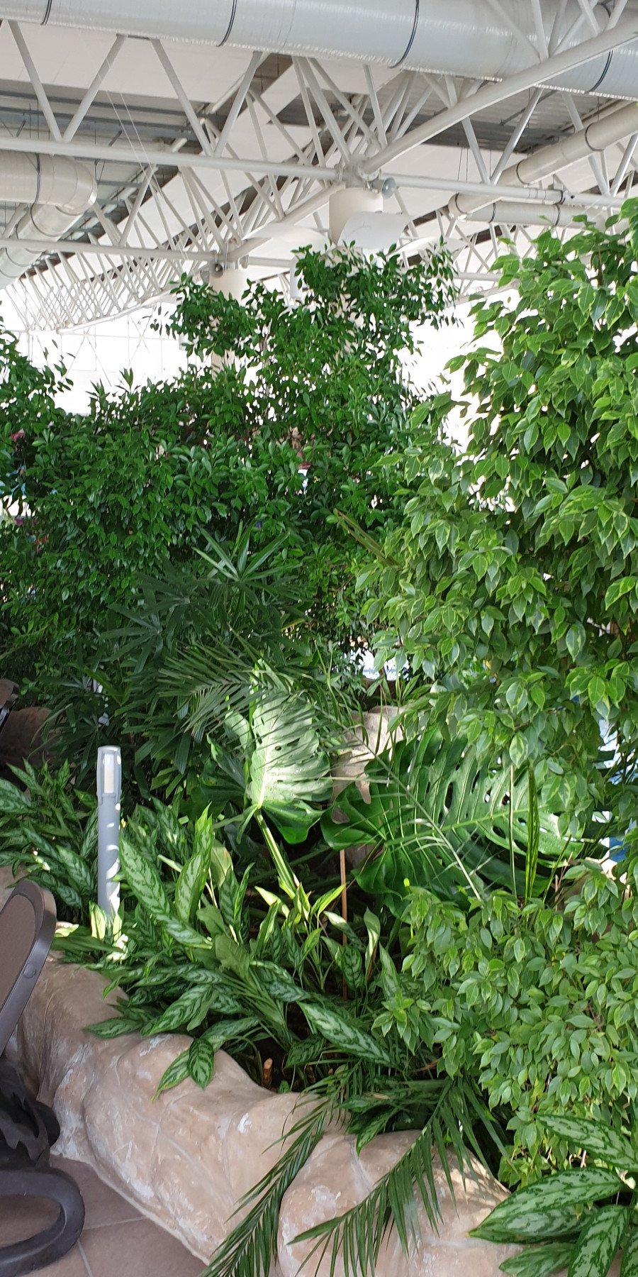 Ogrody 604 - Pielęgnacja zieleni - Zdjęcie 10