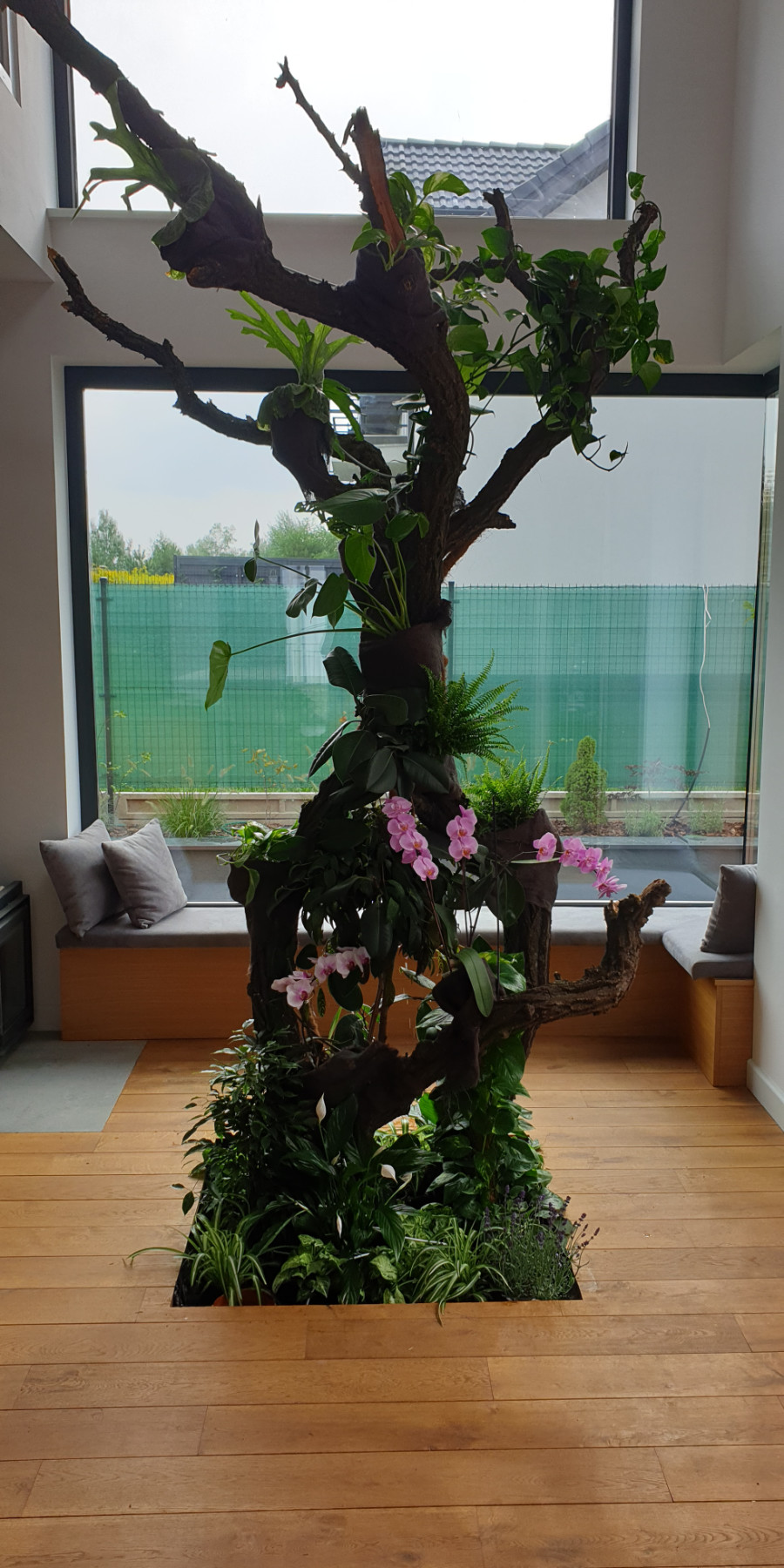 Ogrody 604 - Pielęgnacja zieleni - Zdjęcie 11