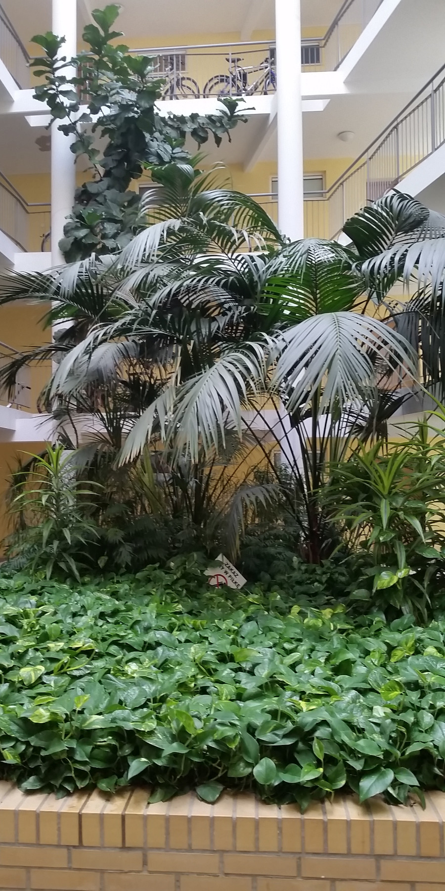 Ogrody 604 - Pielęgnacja zieleni - Zdjęcie 12