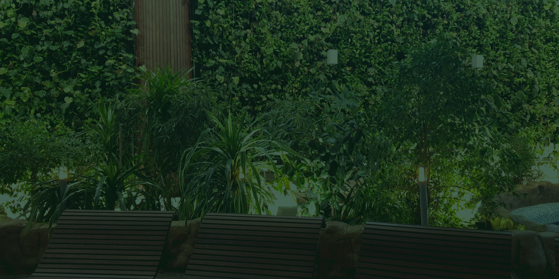 Ogrody 604 -Pielęgnacja